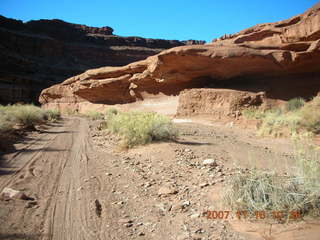148 6bg. Canyonlands National Park - Lathrop Trail hike