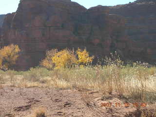 157 6bg. Canyonlands National Park - Lathrop Trail hike
