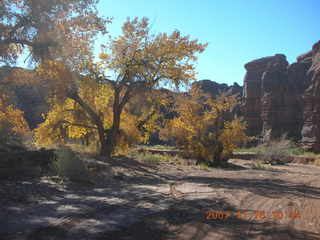 159 6bg. Canyonlands National Park - Lathrop Trail hike