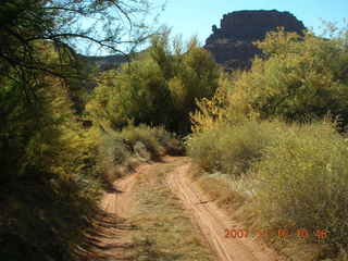 163 6bg. Canyonlands National Park - Lathrop Trail hike