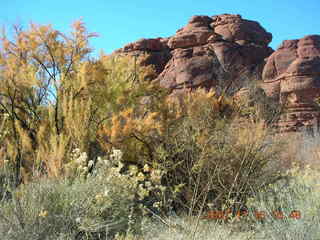 164 6bg. Canyonlands National Park - Lathrop Trail hike