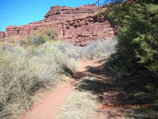 193 6bg. Canyonlands National Park - Lathrop Trail hike