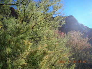 194 6bg. Canyonlands National Park - Lathrop Trail hike