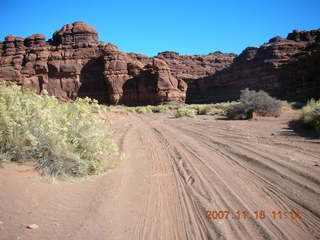 196 6bg. Canyonlands National Park - Lathrop Trail hike