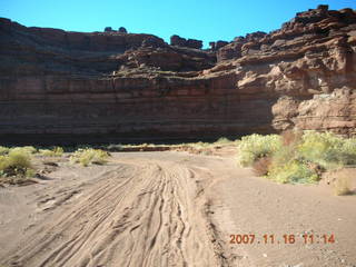 197 6bg. Canyonlands National Park - Lathrop Trail hike