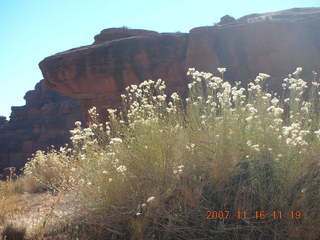 202 6bg. Canyonlands National Park - Lathrop Trail hike