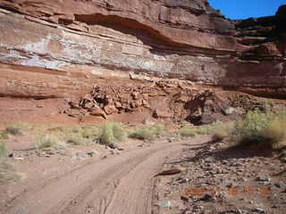 204 6bg. Canyonlands National Park - Lathrop Trail hike