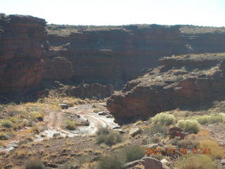 229 6bg. Canyonlands National Park - Lathrop Trail hike