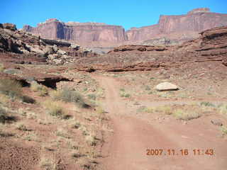 231 6bg. Canyonlands National Park - Lathrop Trail hike