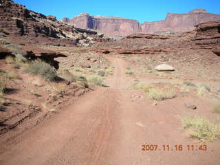 235 6bg. Canyonlands National Park - Lathrop Trail hike