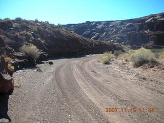 249 6bg. Canyonlands National Park - Lathrop Trail hike