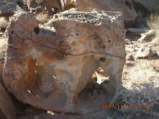 271 6bg. Canyonlands National Park - Lathrop Trail hike