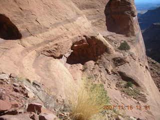 290 6bg. Canyonlands National Park - Lathrop Trail hike