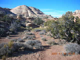 319 6bg. Canyonlands National Park - Lathrop Trail hike