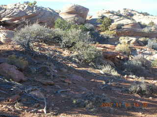 328 6bg. Canyonlands National Park - Lathrop Trail hike