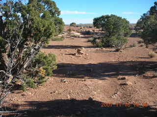 331 6bg. Canyonlands National Park - Lathrop Trail hike