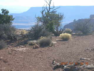 332 6bg. Canyonlands National Park - Lathrop Trail hike