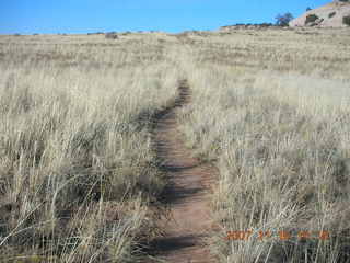 358 6bg. Canyonlands National Park - Lathrop Trail hike