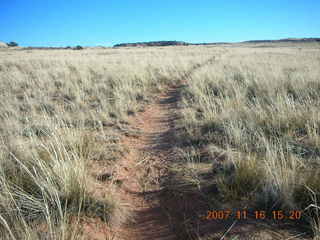 362 6bg. Canyonlands National Park - Lathrop Trail hike