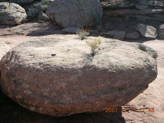 149 6bh. Dead Horse Point