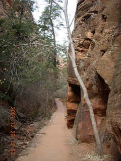 45 6cv. Zion National Park - Angels Landing hike