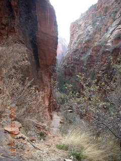 46 6cv. Zion National Park - Angels Landing hike