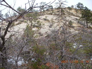 118 6cv. Zion National Park - West Rim trail
