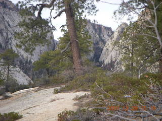 119 6cv. Zion National Park - West Rim trail