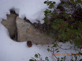 150 6cv. Zion National Park - West Rim trail - snow