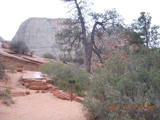 199 6cv. Zion National Park - West Rim trail