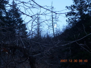 78 6cw. Zion National Park- Observation Point hike - moon in trees