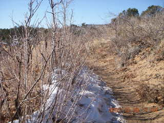 180 6cw. Zion National Park- Observation Point hike