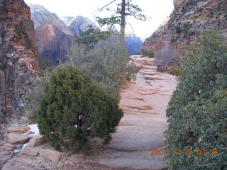 33 6cx. Zion National Park - sunrise Angels Landing hike