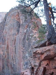 47 6cx. Zion National Park - sunrise Angels Landing hike