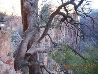 62 6cx. Zion National Park - sunrise Angels Landing hike