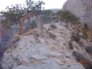 78 6cx. Zion National Park - sunrise Angels Landing hike - top