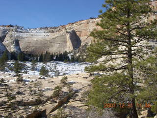 195 6cx. Zion National Park - West Rim trail hike