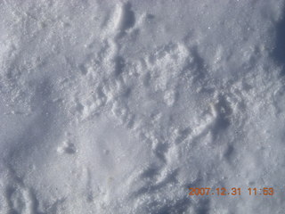 204 6cx. Zion National Park - West Rim trail hike - YakTrax crampon print