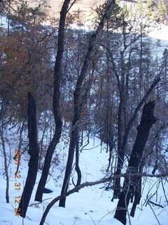 219 6cx. Zion National Park - West Rim hike
