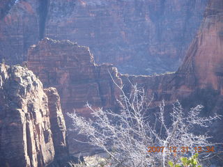 267 6cx. Zion National Park - West Rim hike