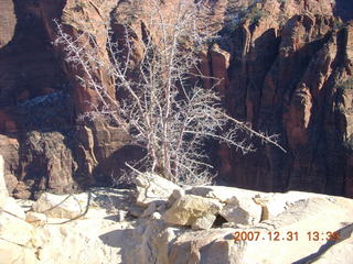 280 6cx. Zion National Park - West Rim hike