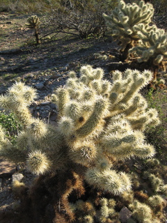 Zion National Park - sunrise Angels Landing hike - top - rockpile