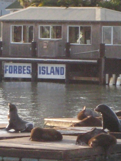 Sonia's U.S. pictures - San Francisco