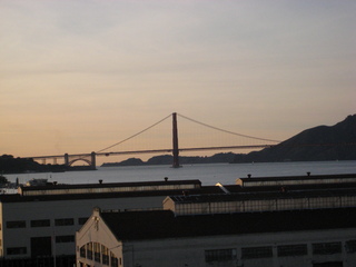 Sonia's U.S. pictures - San Francisco - bird