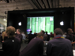 Sonia's U.S. pictures - San Francisco