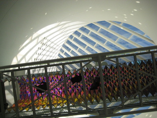 Sonia's U.S. pictures - San Francisco