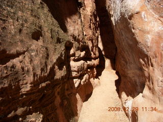 47 6ev. Zion National Park - Emerald Ponds hike