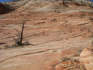 84 6ev. Zion National Park - slickrock hill - Adam in the distance