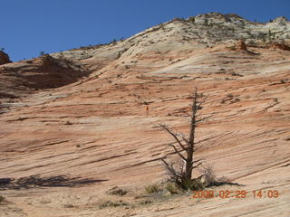 86 6ev. Zion National Park - slickrock hill - Adam in the distance