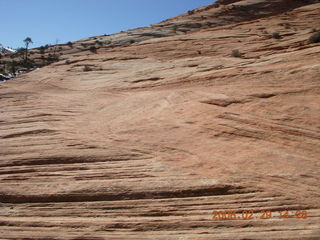 98 6ev. Zion National Park - slickrock hill